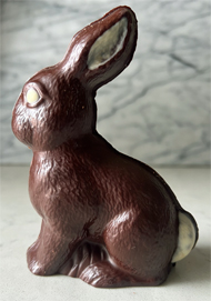 Theordore Bunny - 2 tones D